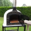 image of the wood fired oven famosi