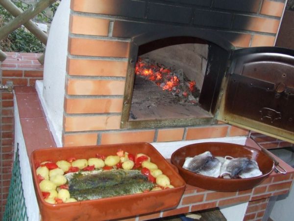 image du four-a-bois-a-pizza-et-pain-igloo